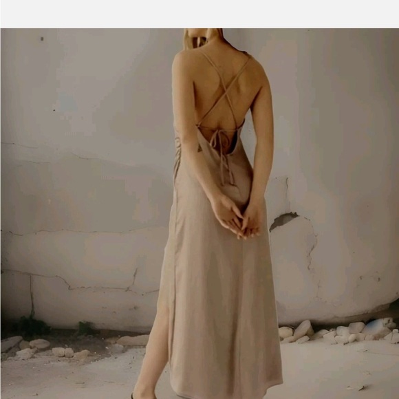 Free People Backless Taupe Dress - Picture 6 of 8